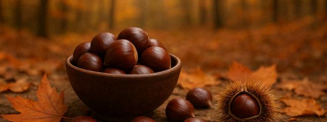 Κάστανα: η πιο “χουχουλιάρικη” γεύση του φθινοπώρου